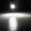 image22